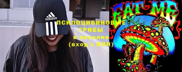 прущая мука Белокуриха