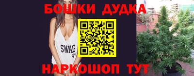 спиды Бийск