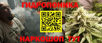 спиды Бийск