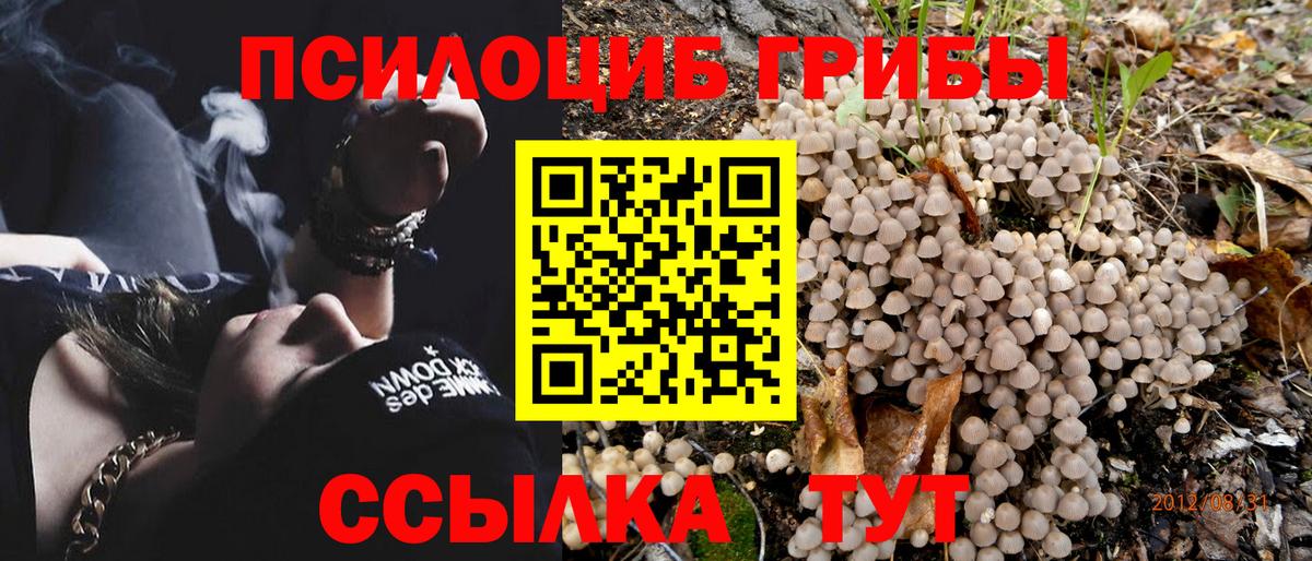 Дагестанские Огни  Псилоцибиновые грибы Psilocybe  Вход с VPN 