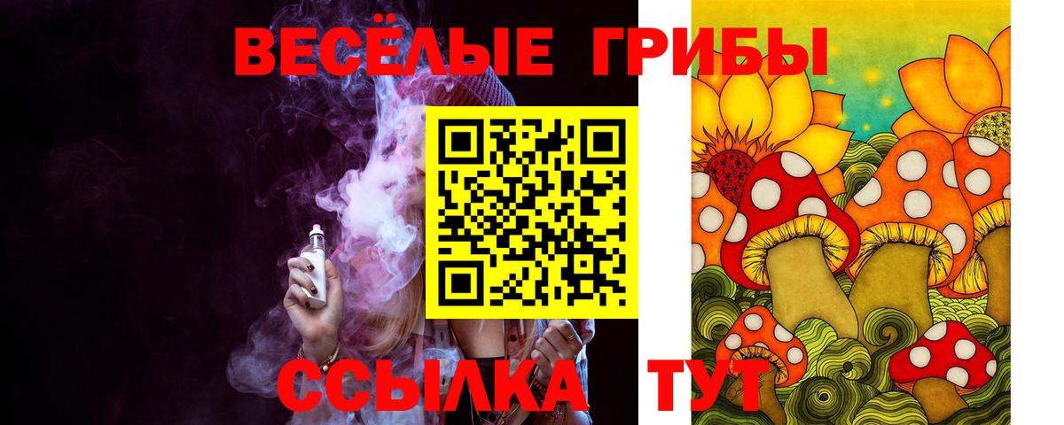 Псилоцибиновые грибы Psilocybine cubensis Дагестанские Огни